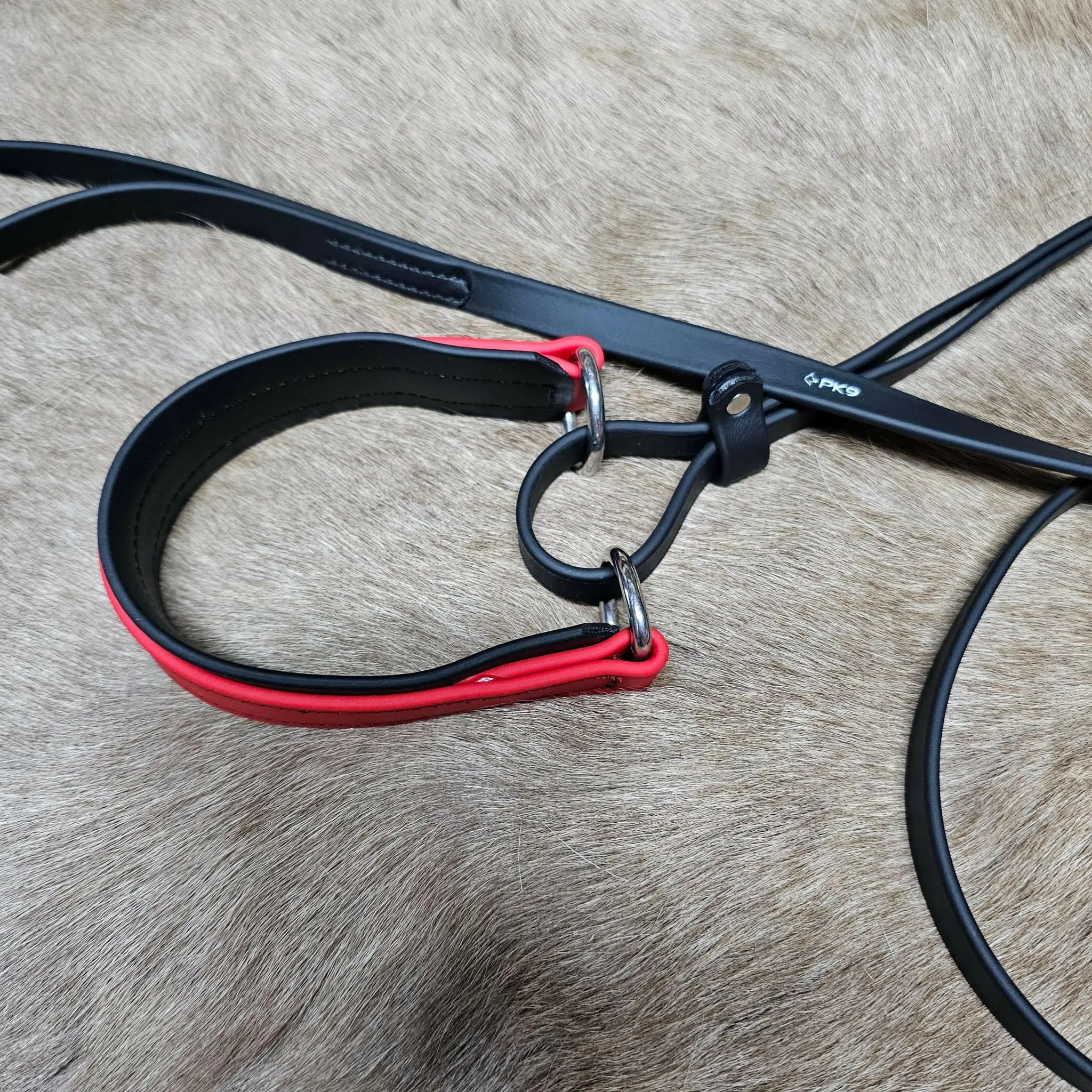 6ft Biothane Martingale Leash
