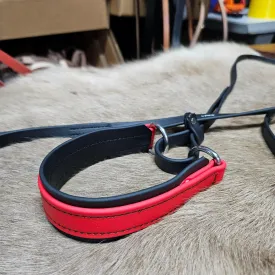 6ft Biothane Martingale Leash