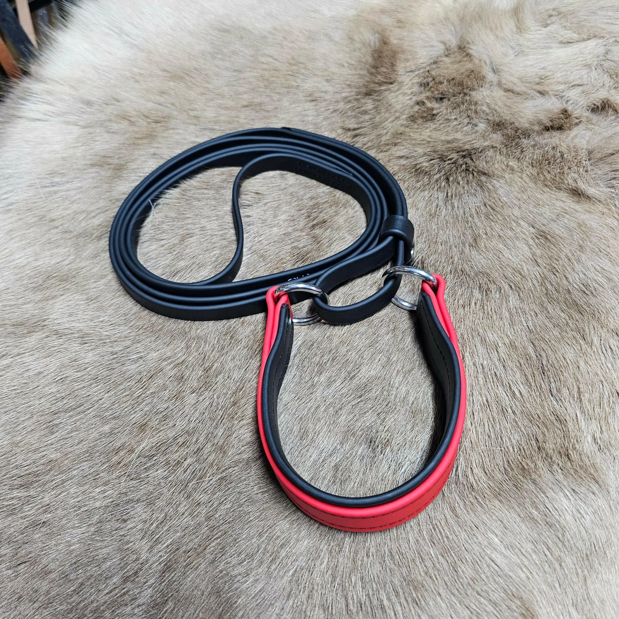 6ft Biothane Martingale Leash