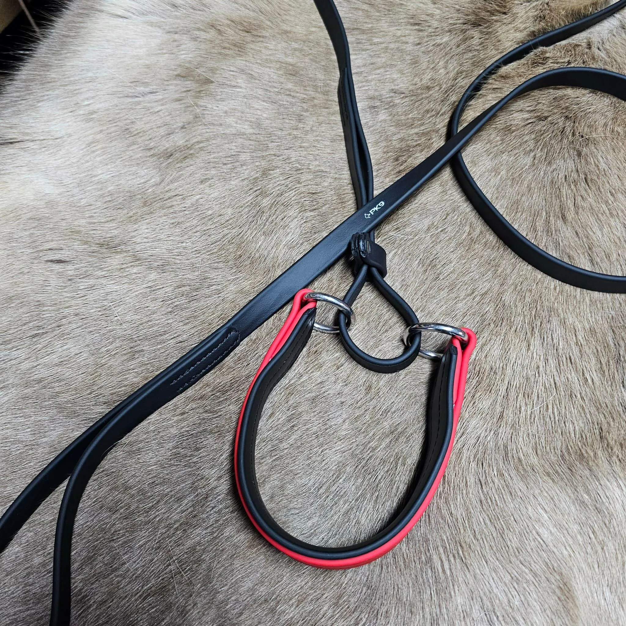 6ft Biothane Martingale Leash