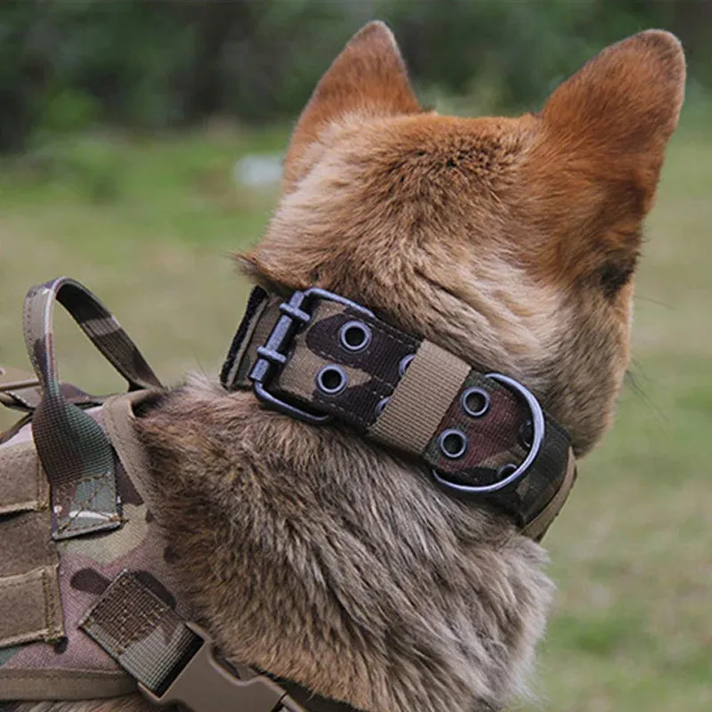Adjustable Tactical Dog Collar for Medium to Large Breeds