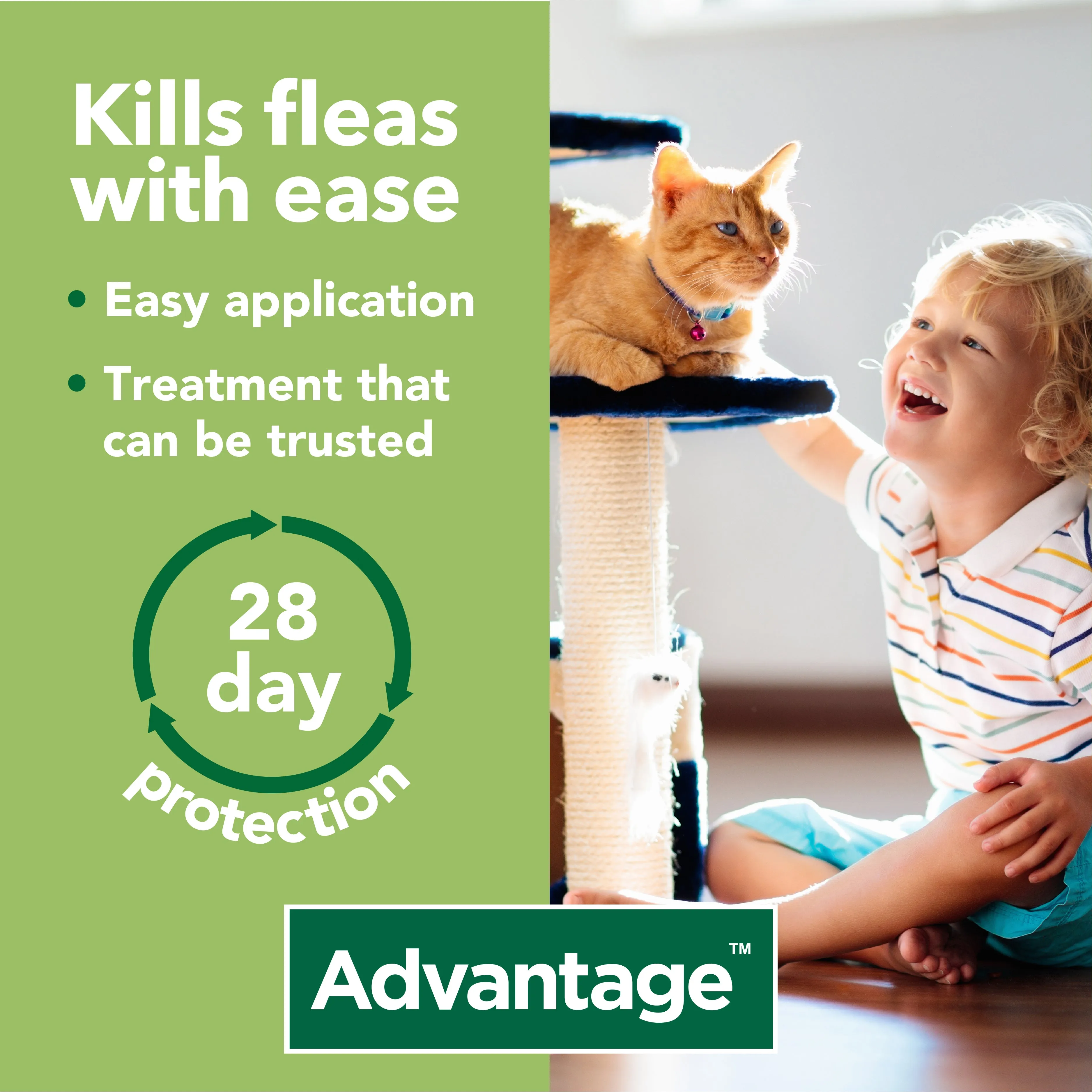 Advantage 40 Spot On Flea Control - Cats, Dogs & Rabbits up to 4kg (4 Pipettes)