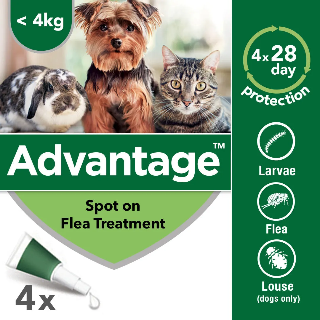 Advantage 40 Spot On Flea Control - Cats, Dogs & Rabbits up to 4kg (4 Pipettes)