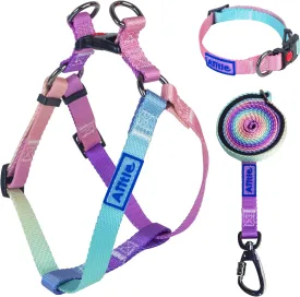 AIITLE No Pull Dog Harness & Leash & Collar - Adjustable Basic Collar with A Heavy Duty Leash - Super Sturdy Buckle and D Ring - Training Running for Large Dogs, Pink Gradient L