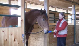 At Home Clinics: Course # 1: Off To A Great Start With Clicker Training