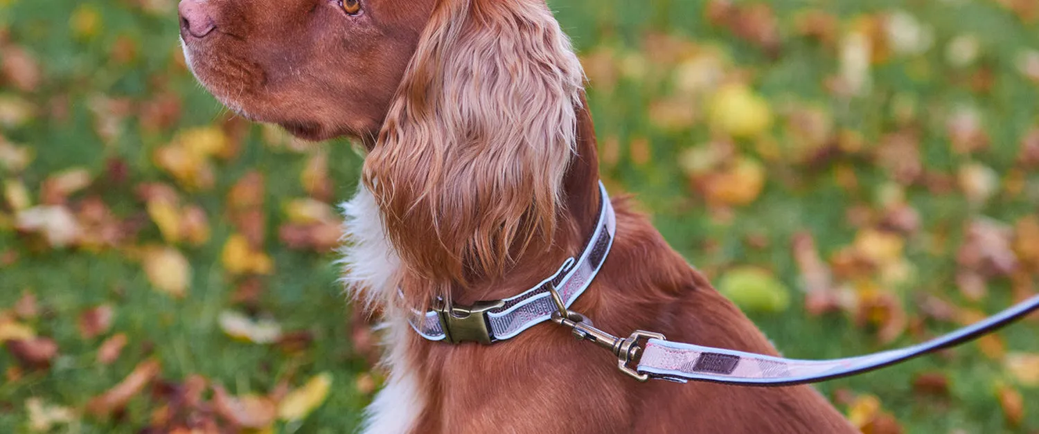 Barbour Reflective Tartan Dog Collar