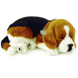 Beagle Soft Bundle