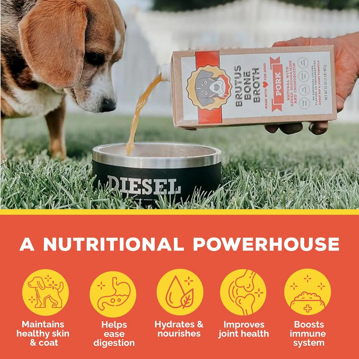 Brutus Bone Broth for Dogs | All Natural | Made in USA | Glucosamine & Chondroitin for Healthy Joints | Human Grade Ingredients | Hydrating Dog Sauce Food Topper, Gravy & Treat (Pork, 6-Pack)