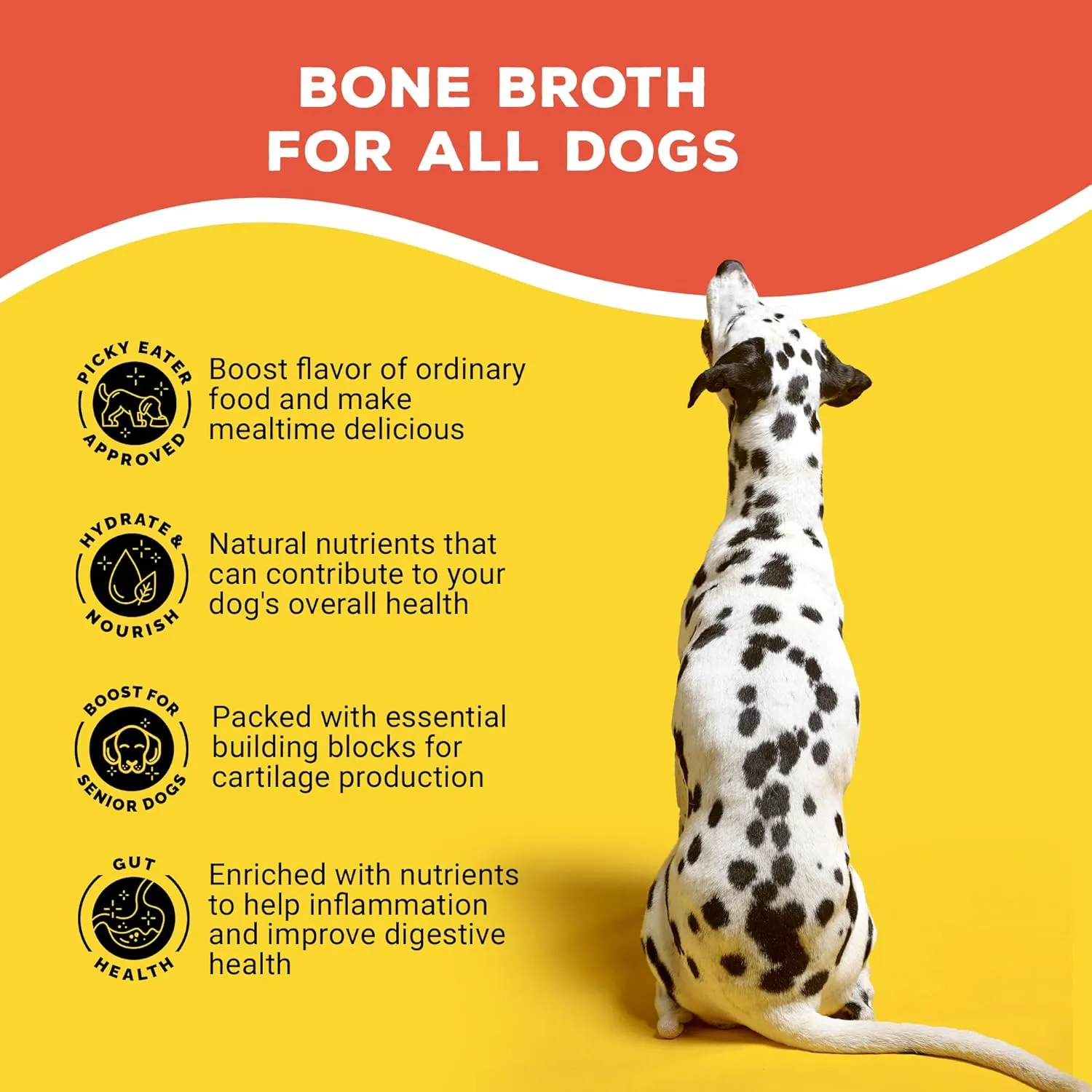 Brutus Bone Broth for Dogs | All Natural | Made in USA | Glucosamine & Chondroitin for Healthy Joints | Human Grade Ingredients | Hydrating Dog Sauce Food Topper, Gravy & Treat (Pork, 6-Pack)