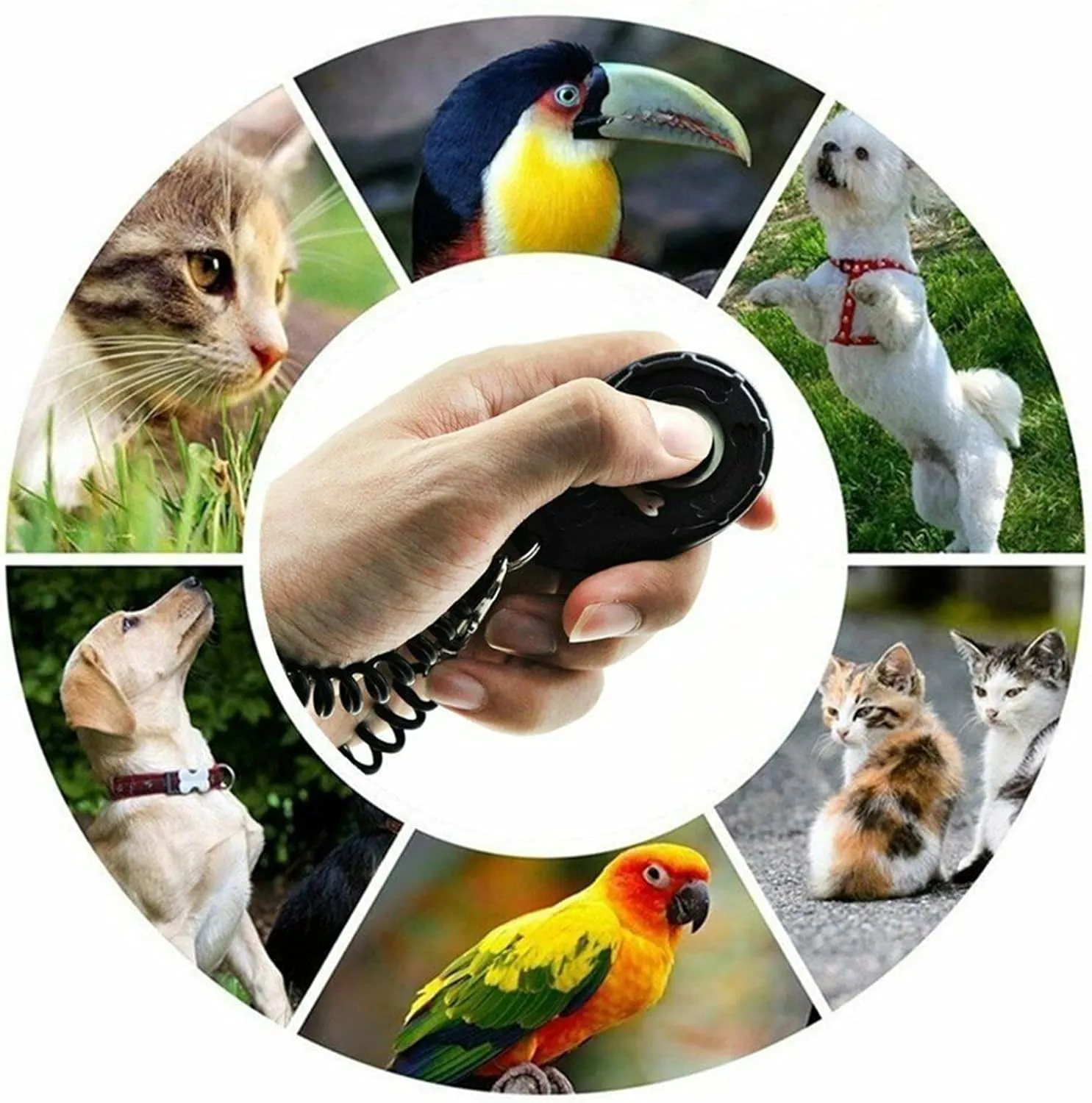 Clicker Easy to Use with Button Durable Dog Training Accessories Black