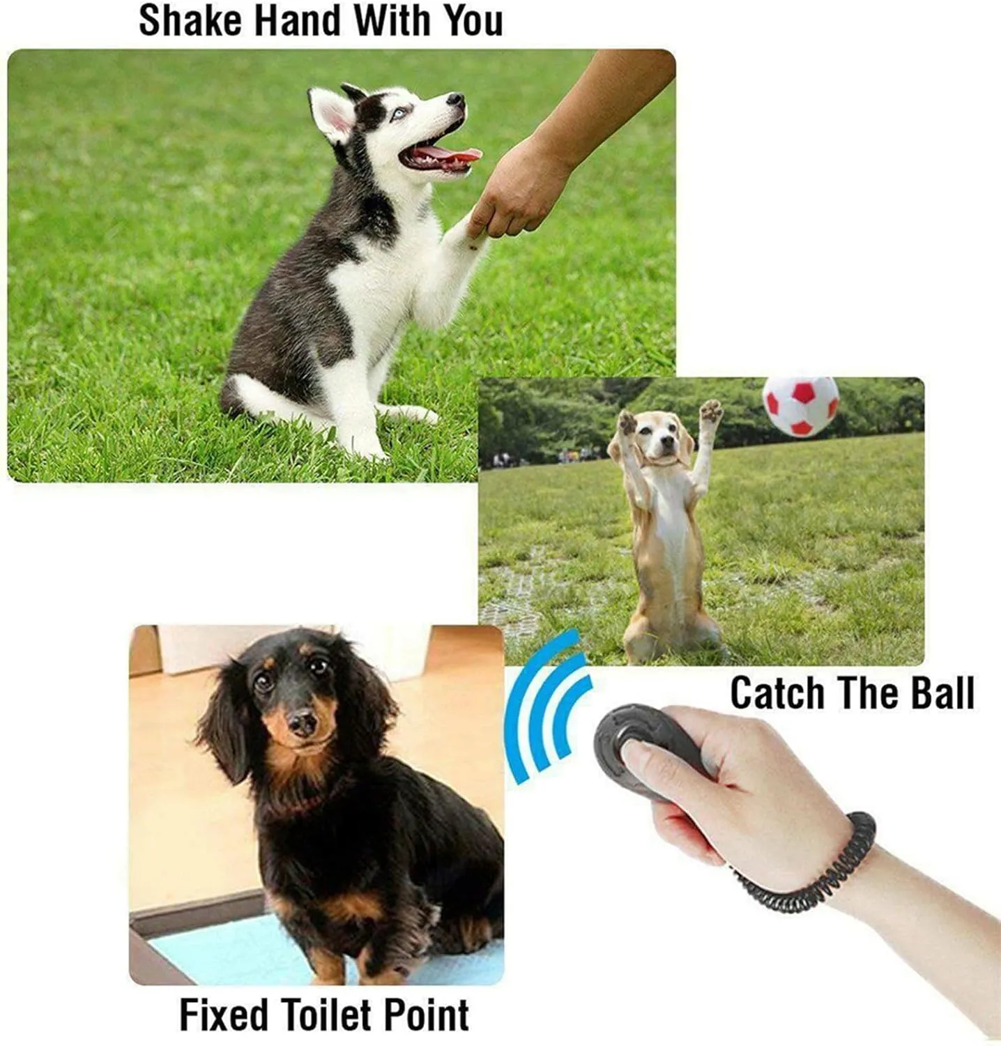 Clicker Easy to Use with Button Durable Dog Training Accessories Black