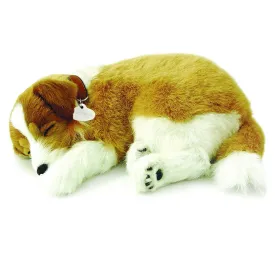 Collie Soft Bundle