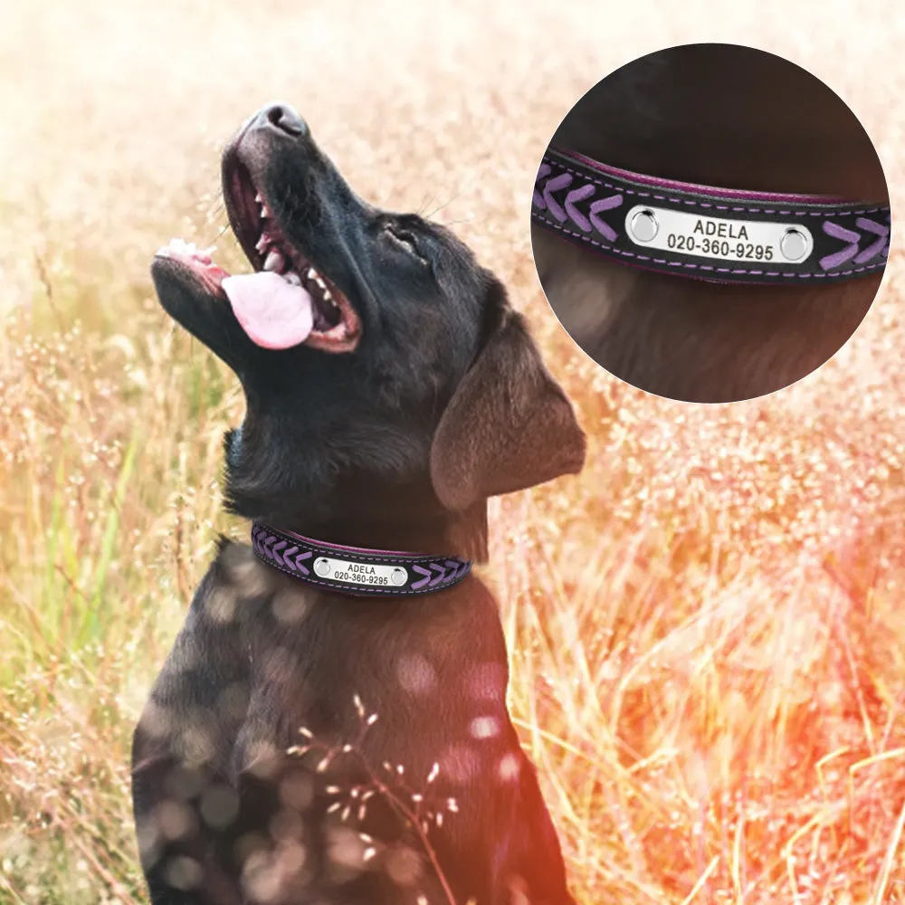 Customized Adjustable Leather Dog Collar For Small, Medium & Large Dogs