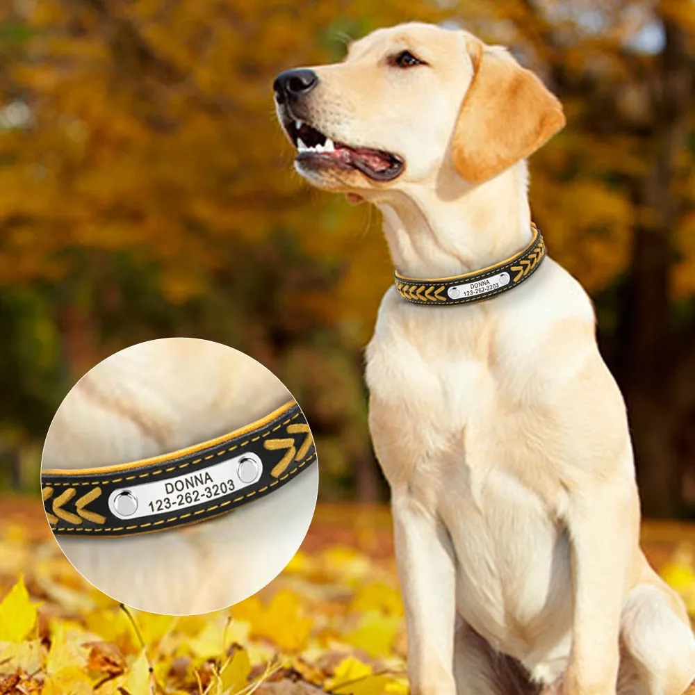 Customized Adjustable Leather Dog Collar For Small, Medium & Large Dogs