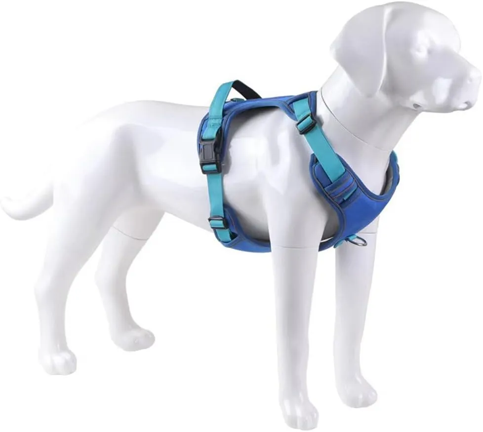 Dog Harness,Escape Proof Dog Harness, Pet Harness with Leash,Adjustable Soft Padded Dog Vest, Reflective No-Choke Pet Oxford Vest, Strong and Durable Pet Carrier (Bule, Large)