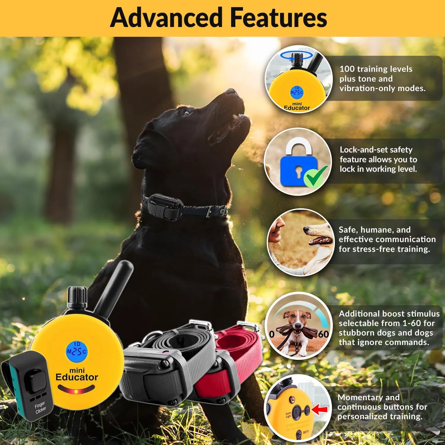 E-Collar  Educator ET-302-1/2 Mile Waterproof Remote Dog Training Collar Includes Premium Finger Clicker Trainer, 100 Programmable Levels   Vibration   Light   Sound