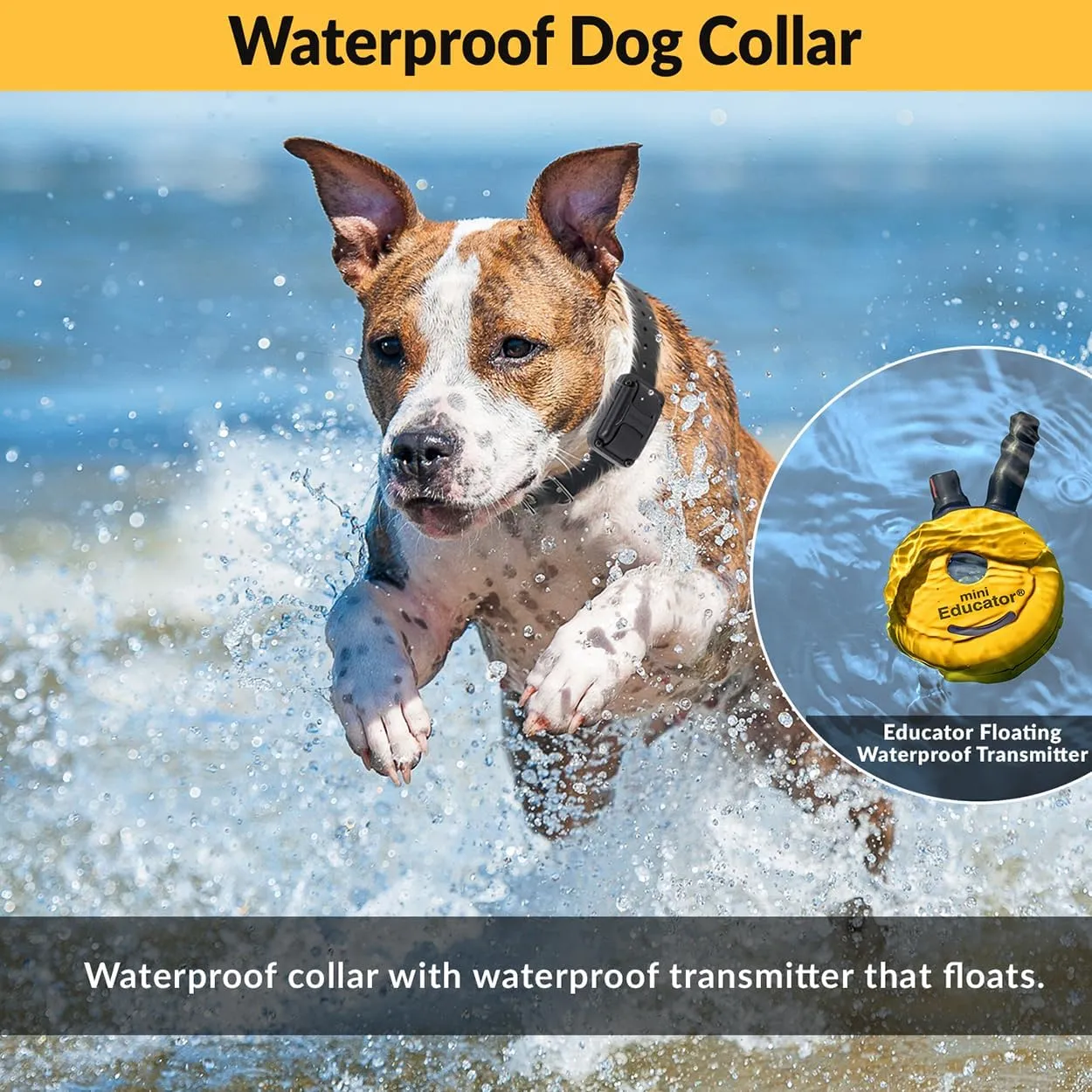 E-Collar  Educator ET-302-1/2 Mile Waterproof Remote Dog Training Collar Includes Premium Finger Clicker Trainer, 100 Programmable Levels   Vibration   Light   Sound