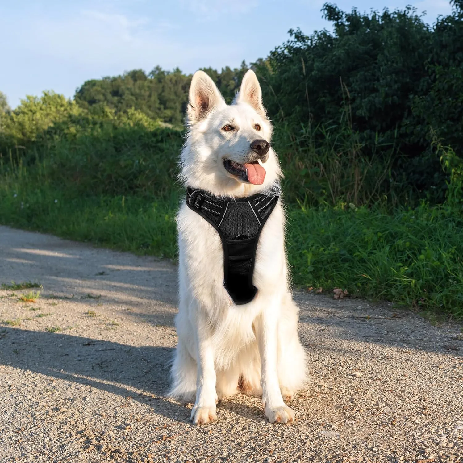 Eagloo Dog Harness Large Breed, No Pull Service Vest with Reflective Strips and Control Handle, Adjustable and Comfortable for Easy Walking, No Choke Pet Harness with 2 Metal Rings, Black, XL