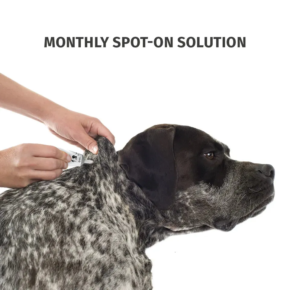 Flea & Tick Spot On Solution for Dogs