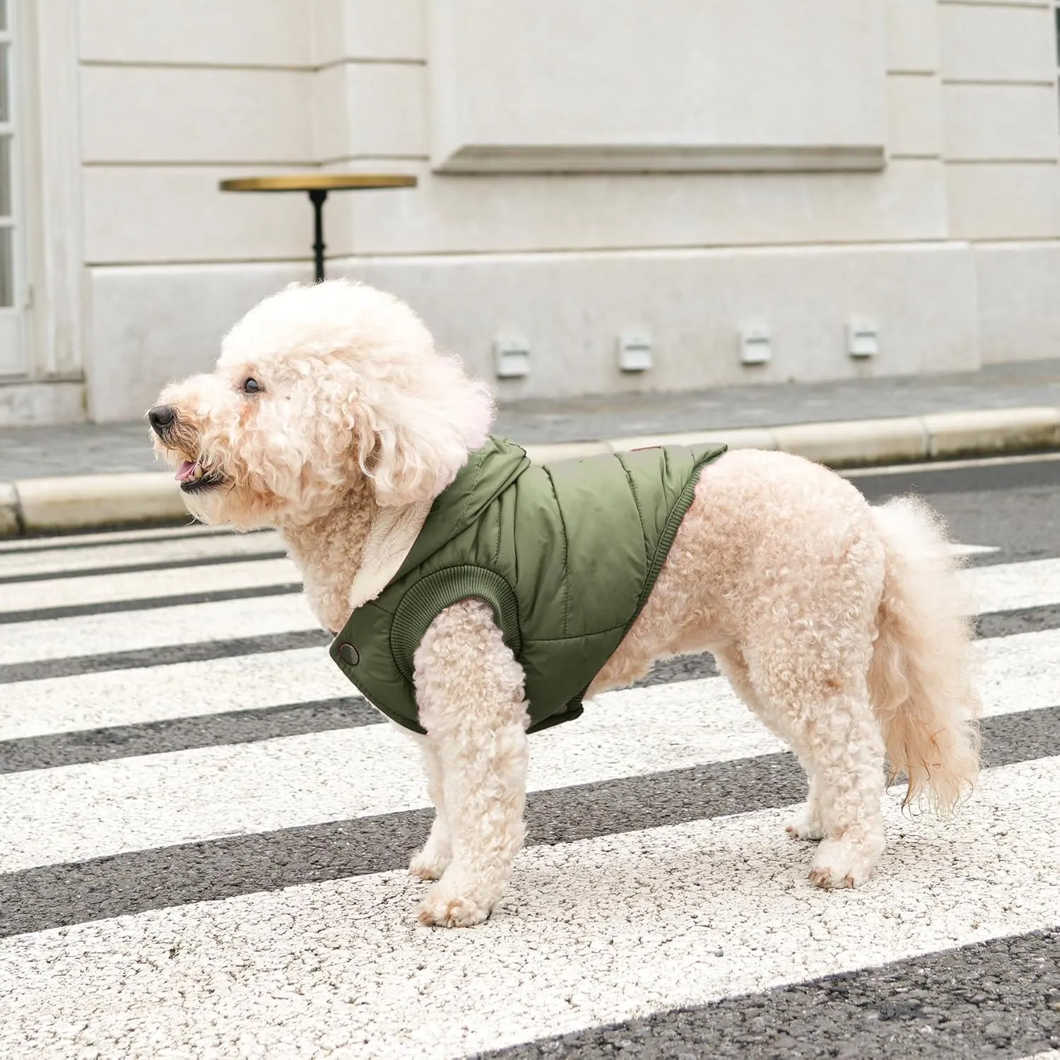 Fleece Lining Extra Warm Dog Hoodie in Winter for Medium Dogs Jacket Pet Coats with Hooded Green L