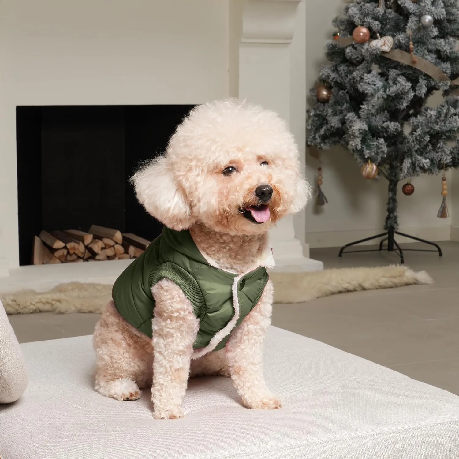 Fleece Lining Extra Warm Dog Hoodie in Winter for Medium Dogs Jacket Pet Coats with Hooded Green L