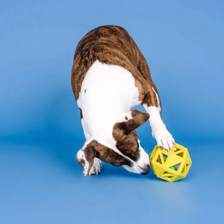 Fringe Dog Toy Rubber Sweet On The Inside