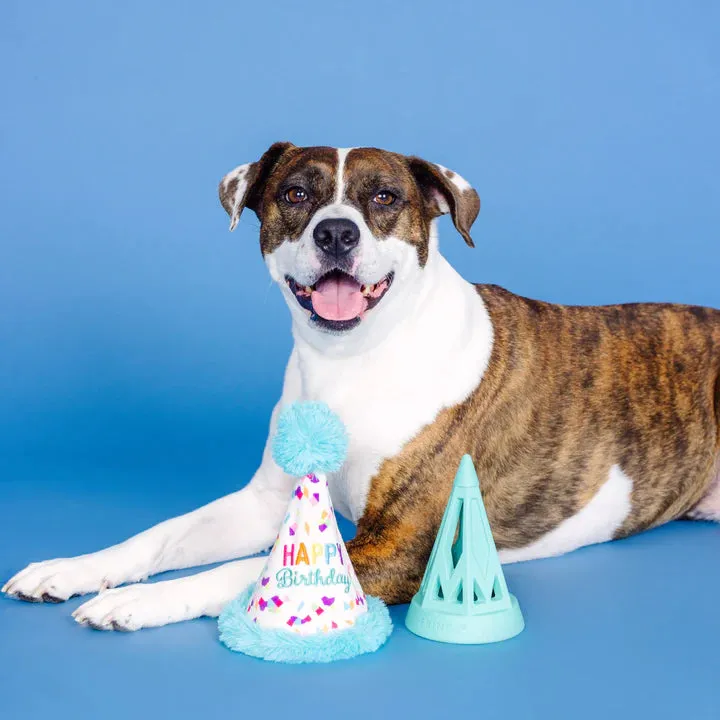 Fringe Dog Toy Rubber/Plush Yappy Barkday
