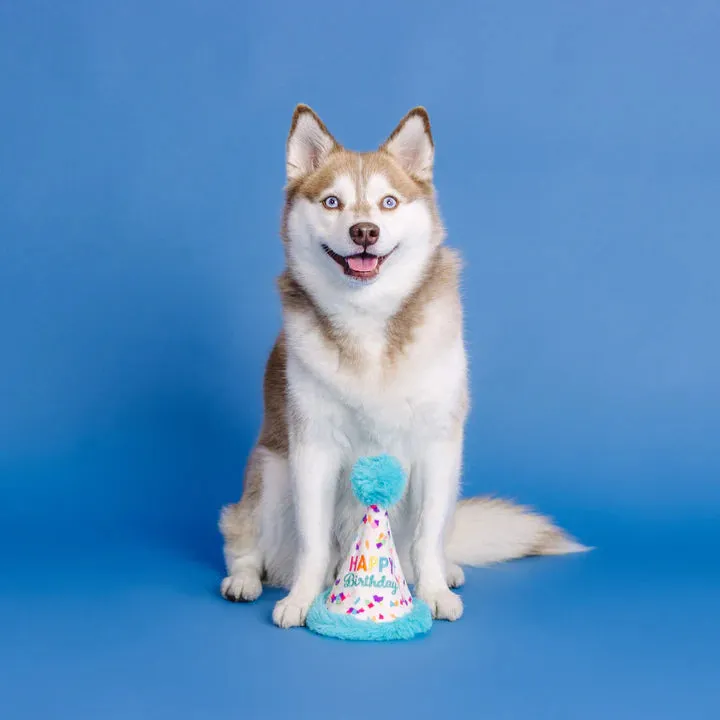 Fringe Dog Toy Rubber/Plush Yappy Barkday