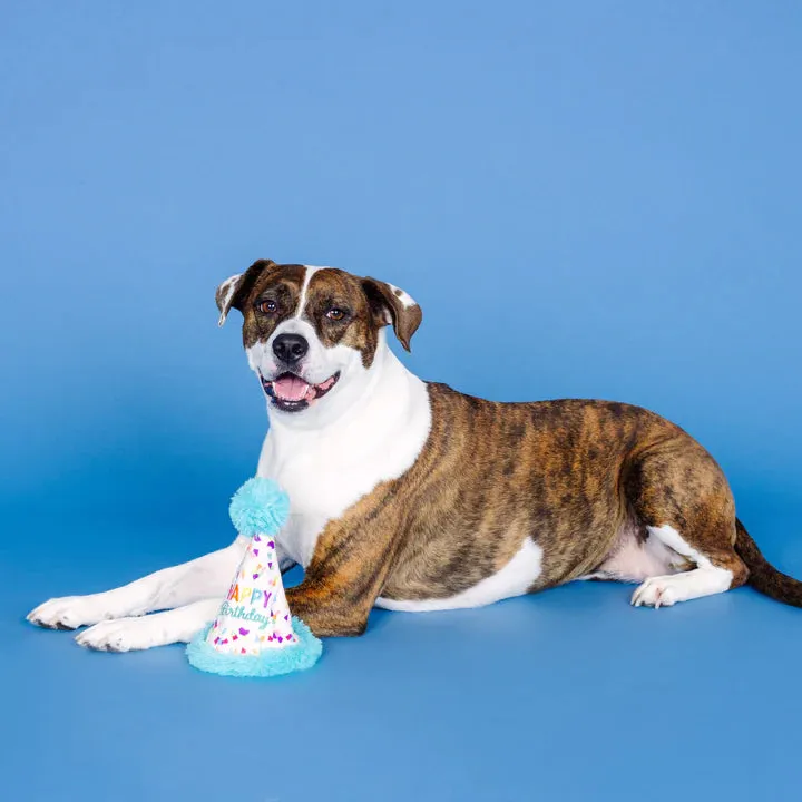 Fringe Dog Toy Rubber/Plush Yappy Barkday