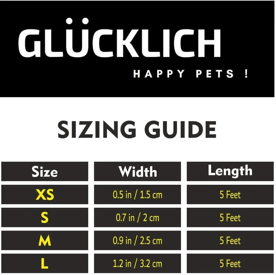 Glucklich Denim Nylon Pet Leash