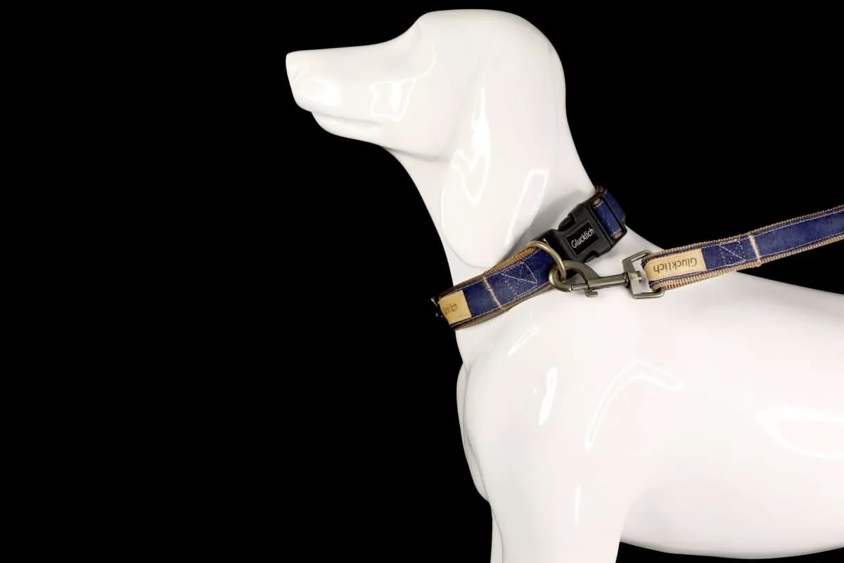 Glucklich Denim Nylon Pet Leash