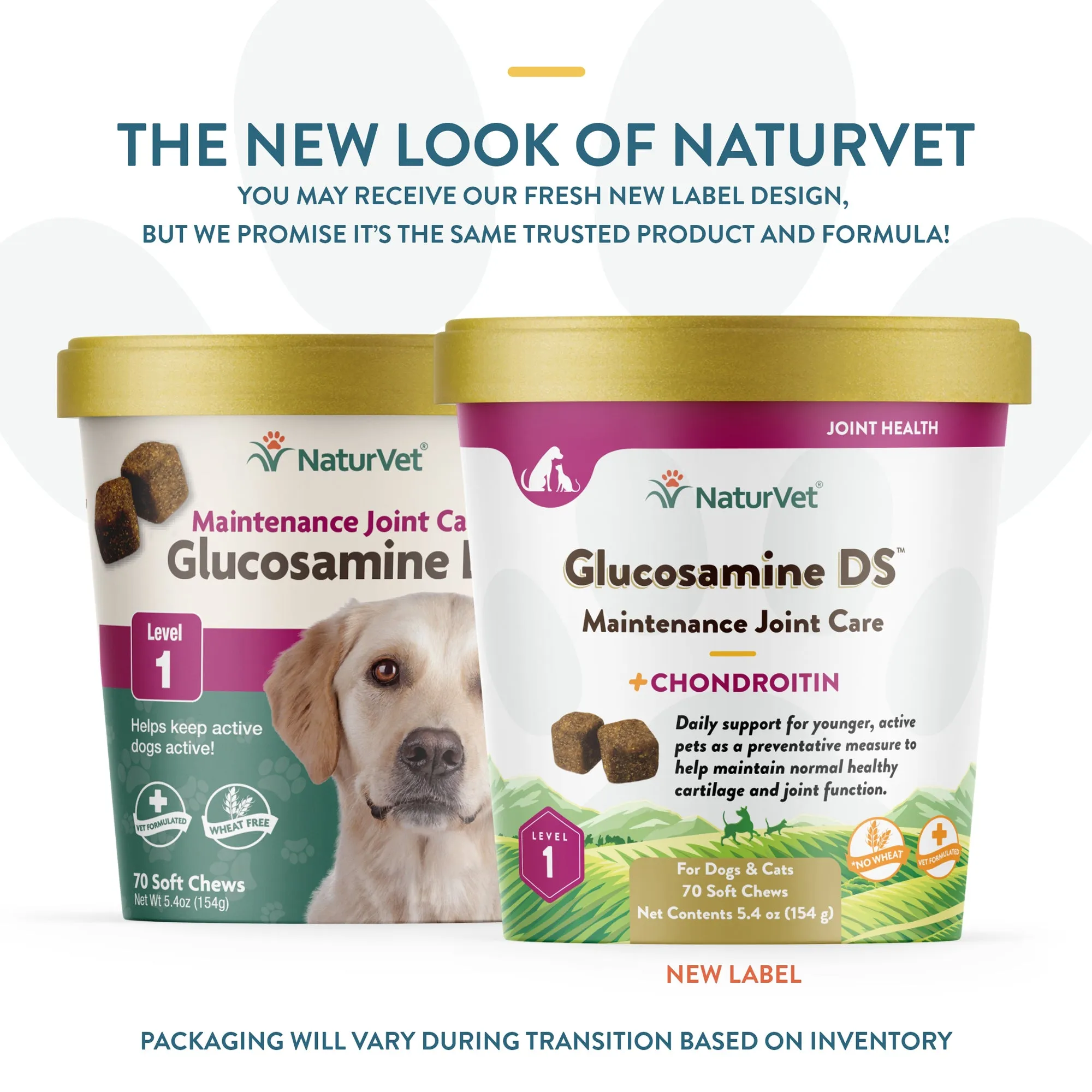 Glucosamine DS™ Soft Chews