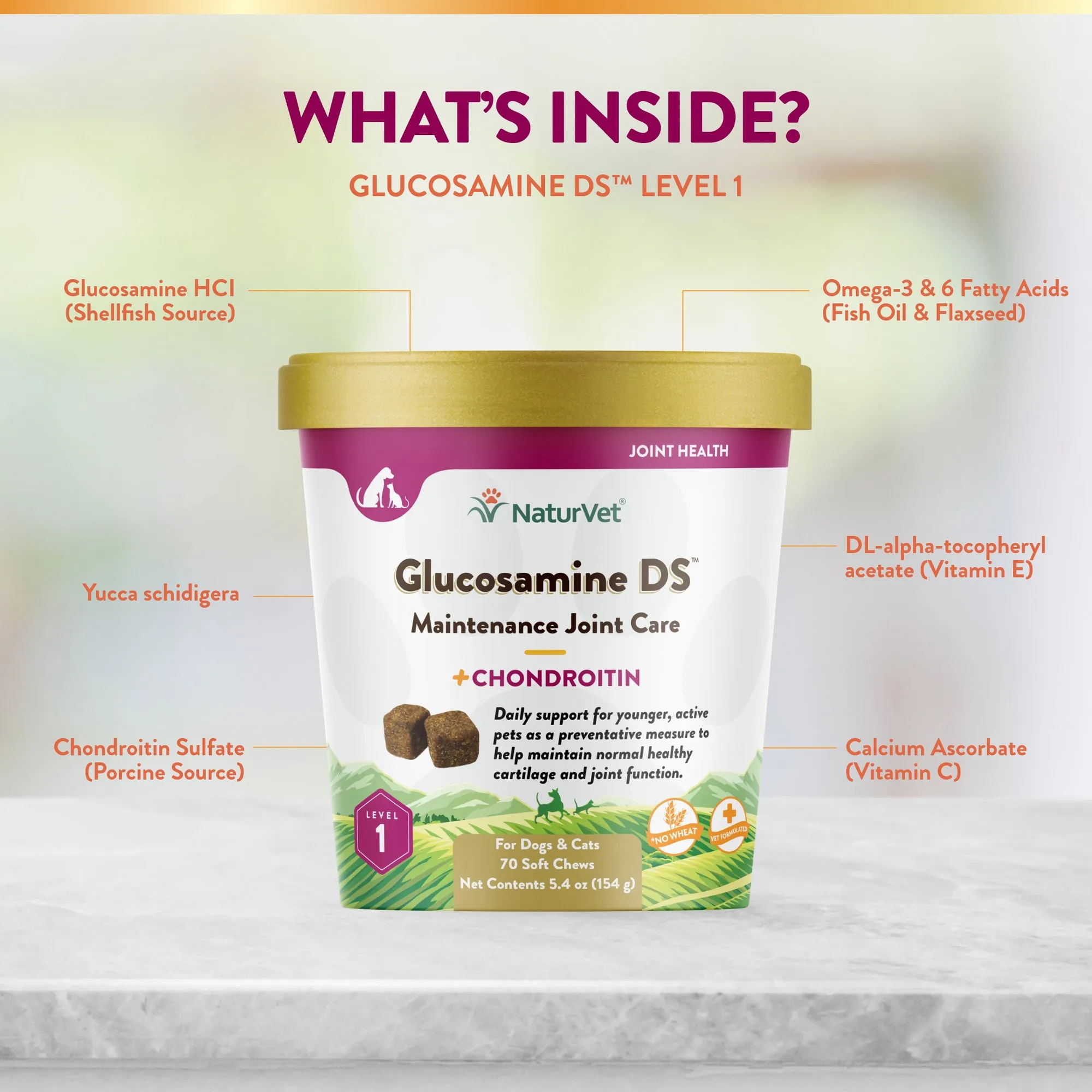 Glucosamine DS™ Soft Chews