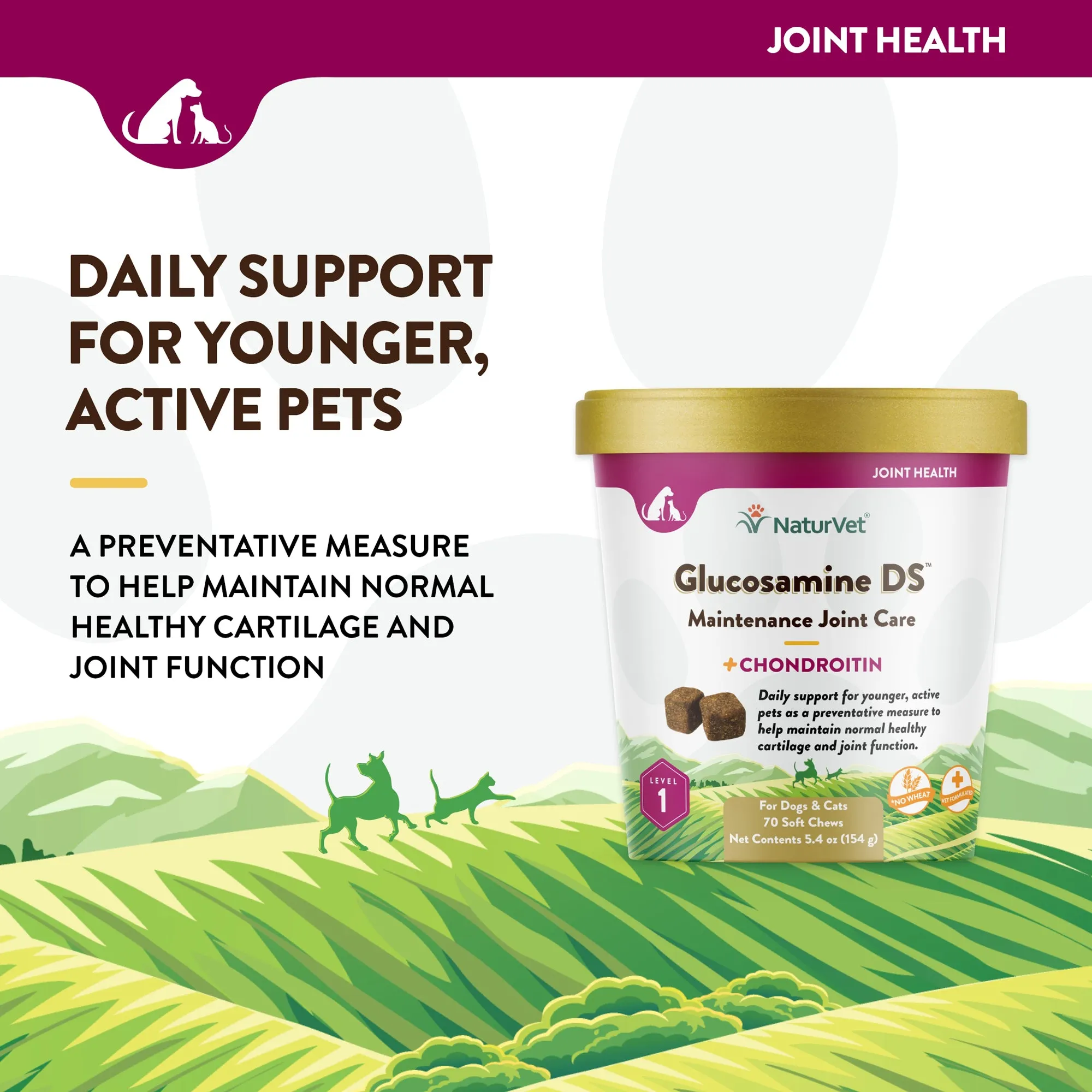 Glucosamine DS™ Soft Chews