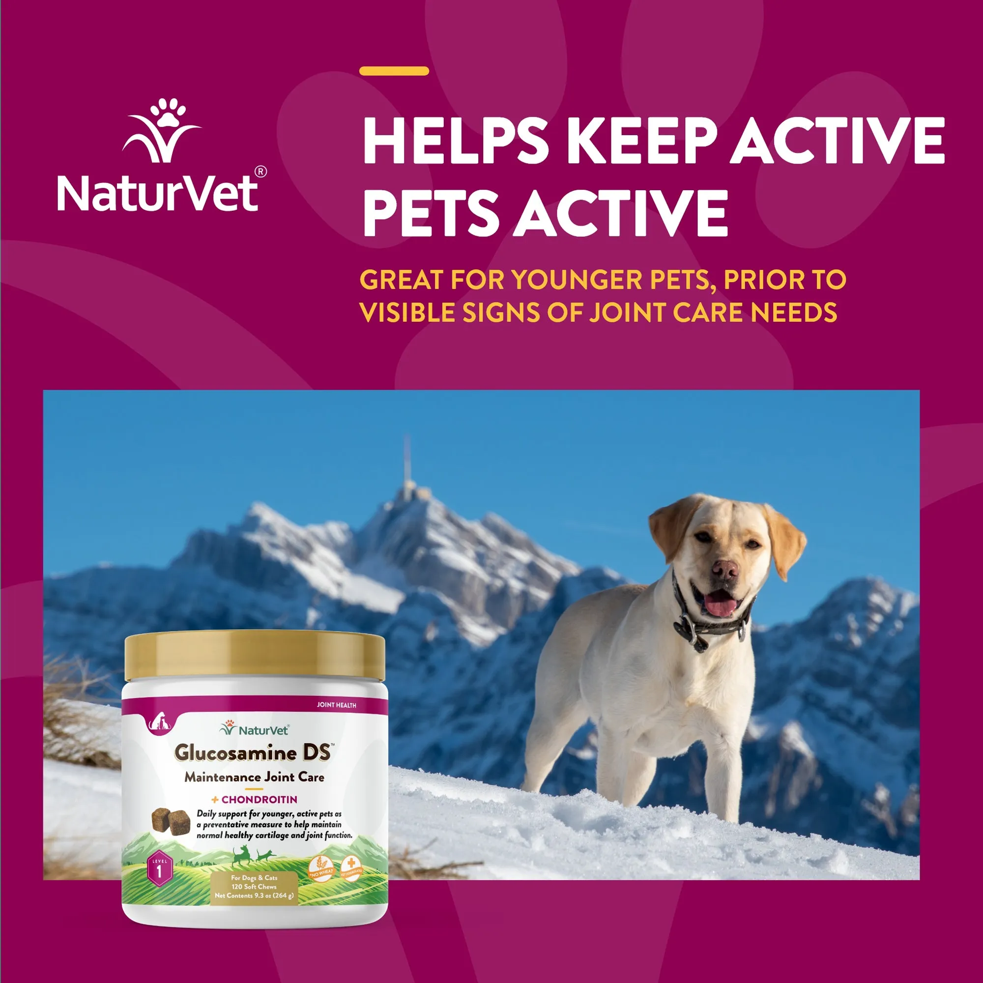 Glucosamine DS™ Soft Chews