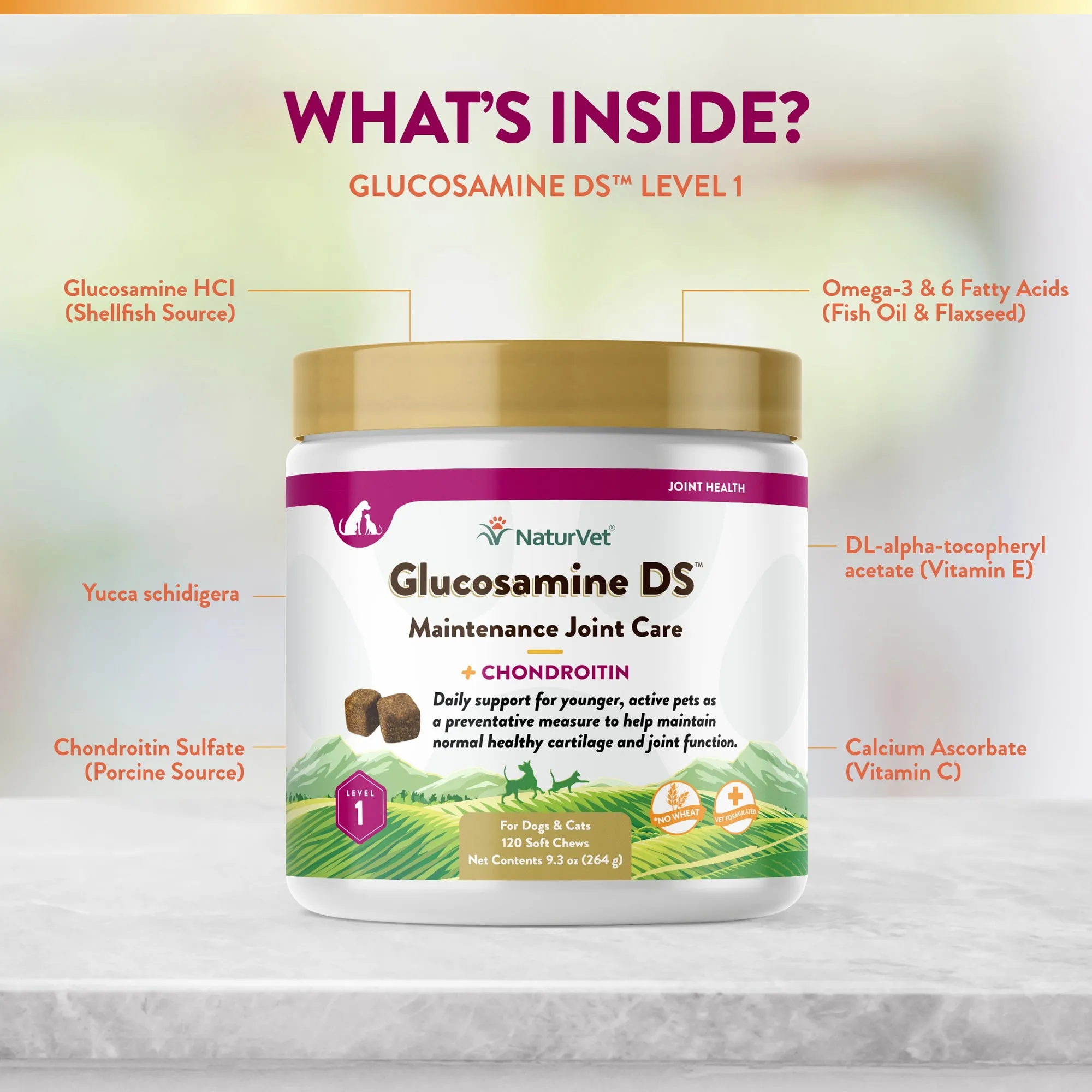 Glucosamine DS™ Soft Chews