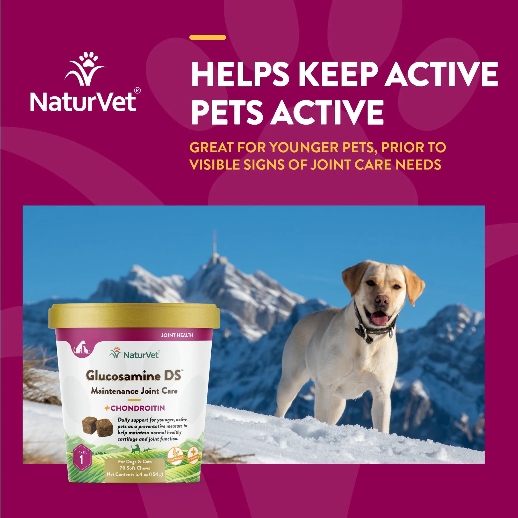 Glucosamine DS™ Soft Chews