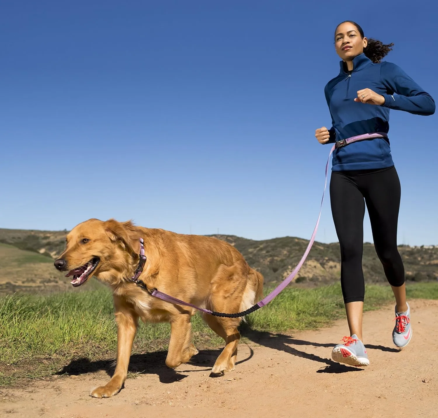 HALTI Active Leash - Award-Winning Bungee Dog Leash, Shock-Absorbing, All-in-One Neoprene Padded Belt & Lead, Perfect for Running & Training with Medium & Large Dogs (Size Large, Purple)