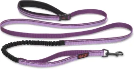 HALTI Active Leash - Award-Winning Bungee Dog Leash, Shock-Absorbing, All-in-One Neoprene Padded Belt & Lead, Perfect for Running & Training with Medium & Large Dogs (Size Large, Purple)