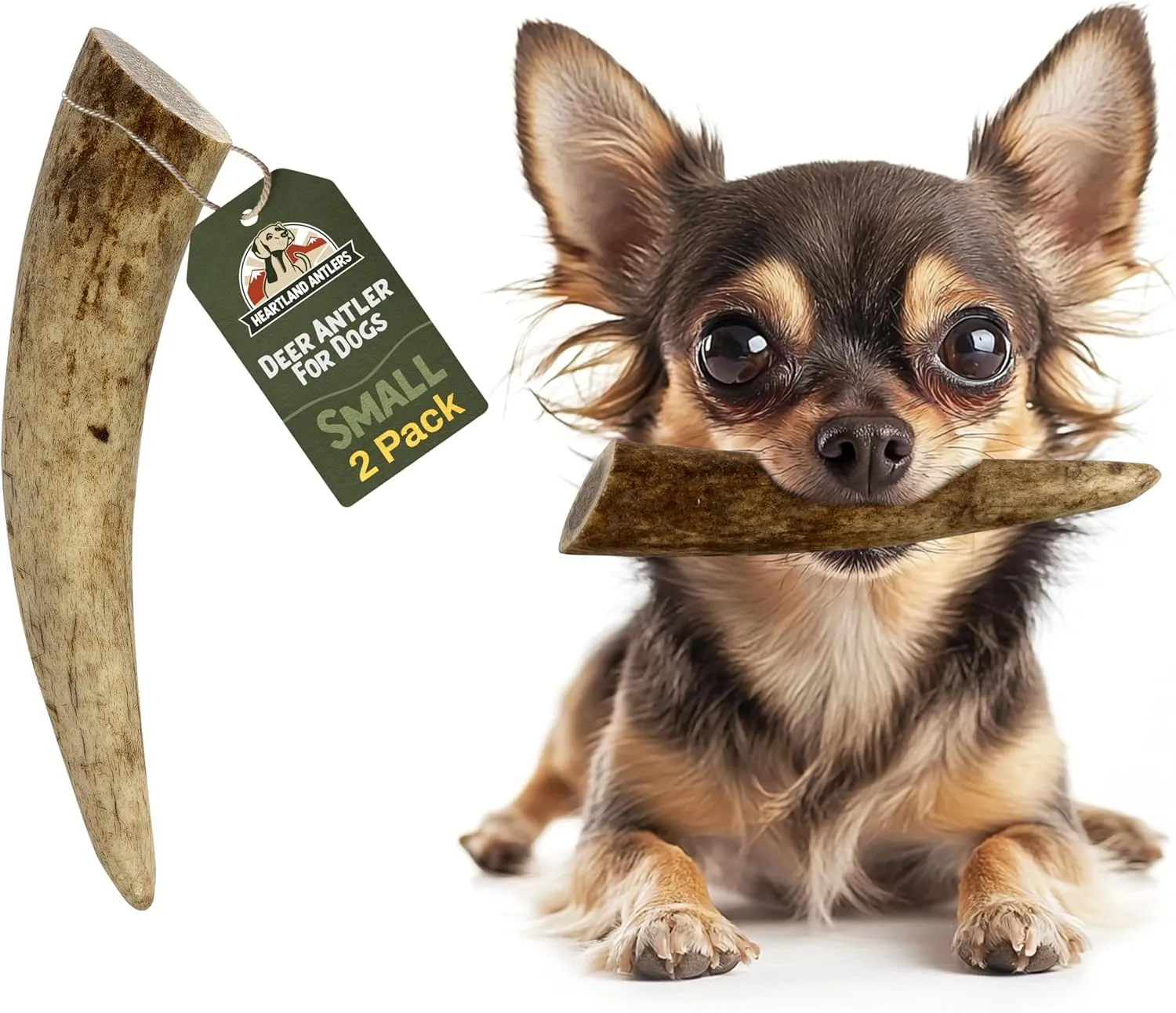 Heartland Deer Antlers for Dogs (Small, 45", Deer, 2-Pack)  Grade A, Naturally Shed | Odor-Free Chew Toy for Puppies & Aggressive Chewers | Long-Lasting | USA Made | Veteran Owned
