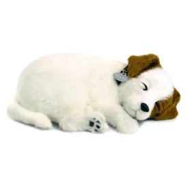 Jack Russell Soft Bundle