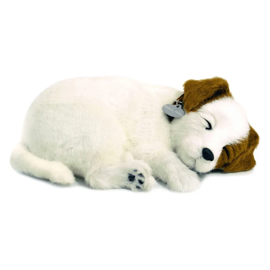 Jack Russell Soft Bundle
