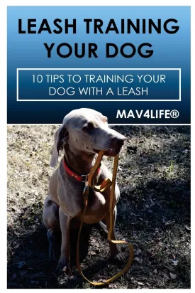 Leash Training Your Dog: 10 Tips to Training Your Dog with a Leash Paperback  April 20, 2017