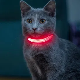 Light up Dog Collar for Small Dog,Vizpet XS Adjustable Size Nylon Collar USB Rechargeable Bright Safety Pet Collar for Cats Dogs (Pink)