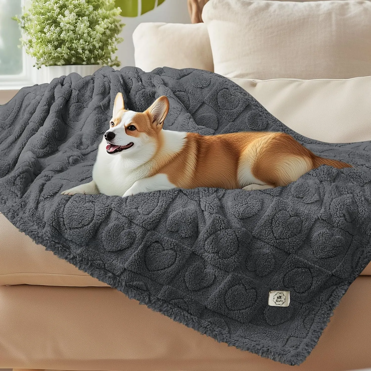 Luciphia Waterproof Blanket for Large Dogs Washable Pet Bed Cover Soft Fluffy Puppy Couch Protector with Premium Fleece Cozy Calming Cat Blankets for Indoor Cats Grey 57x40 inch