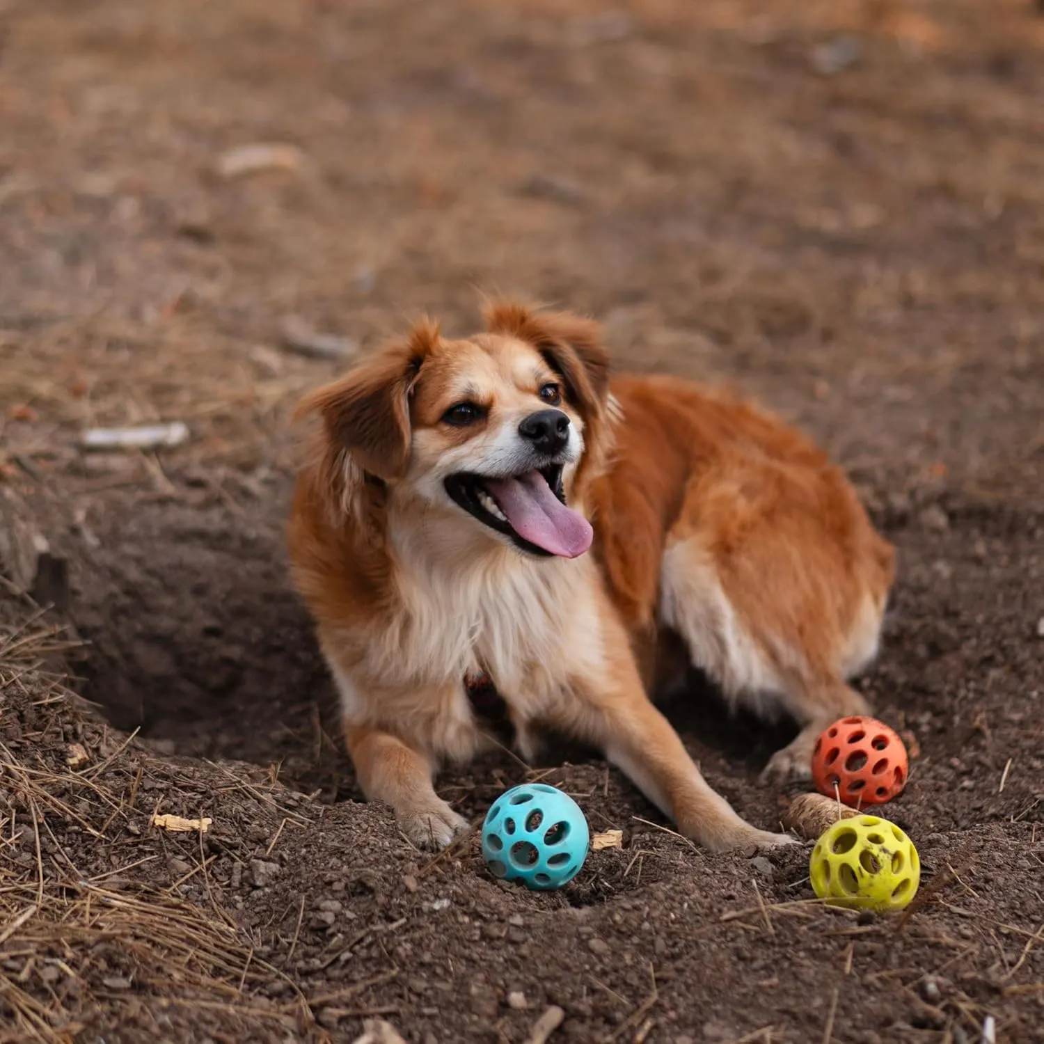 Messy Mutts Totally Pooched Huff'n Puff Ball | 3.1 TPR Puzzle Ball for Dogs | 2-in-1 Durable Interactive Toy and Tooth Cleaner | Orange