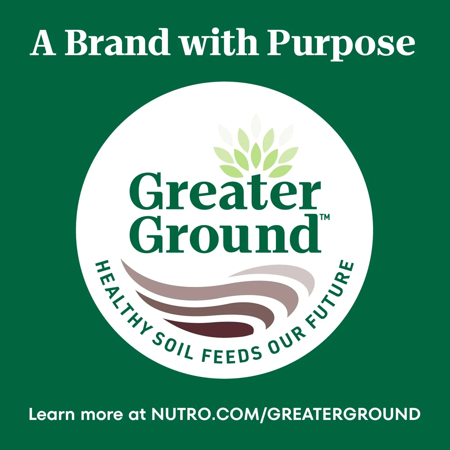Nutro Natural Choice Small Bites Adult Dry Dog Food, Chicken and Brown Rice Recipe, 5 lbs.