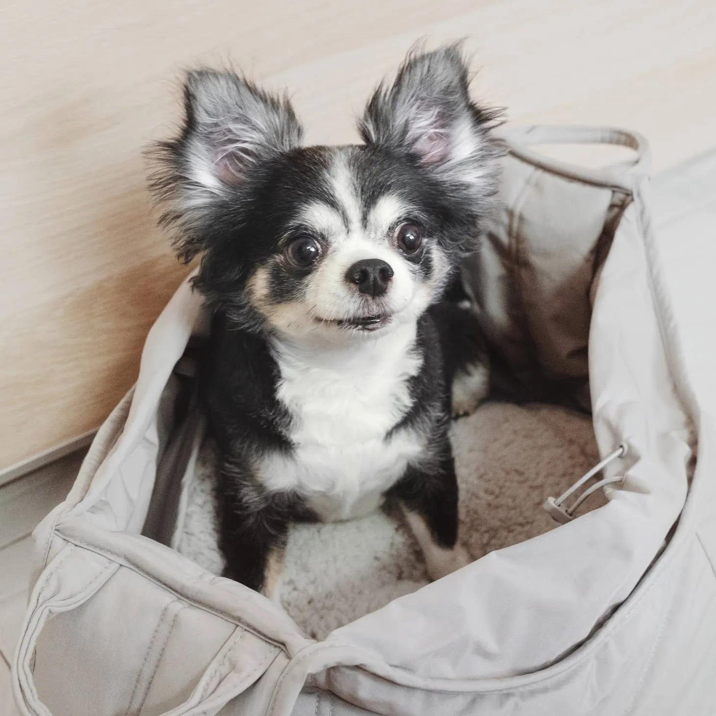 Olla Sling Dog Carrier