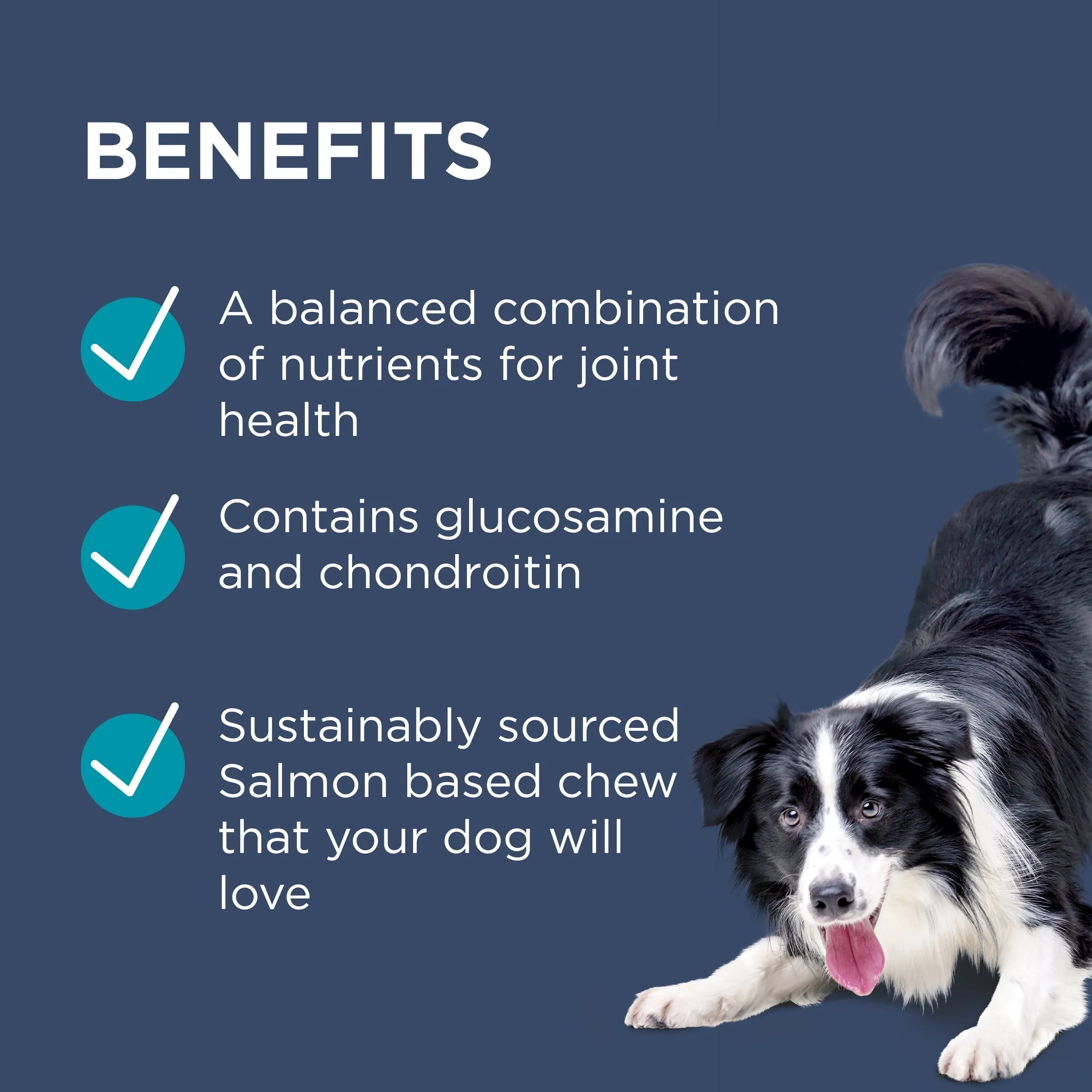 PAW by Blackmores Osteocare Joint Protect Chews for Dogs 300g^^^