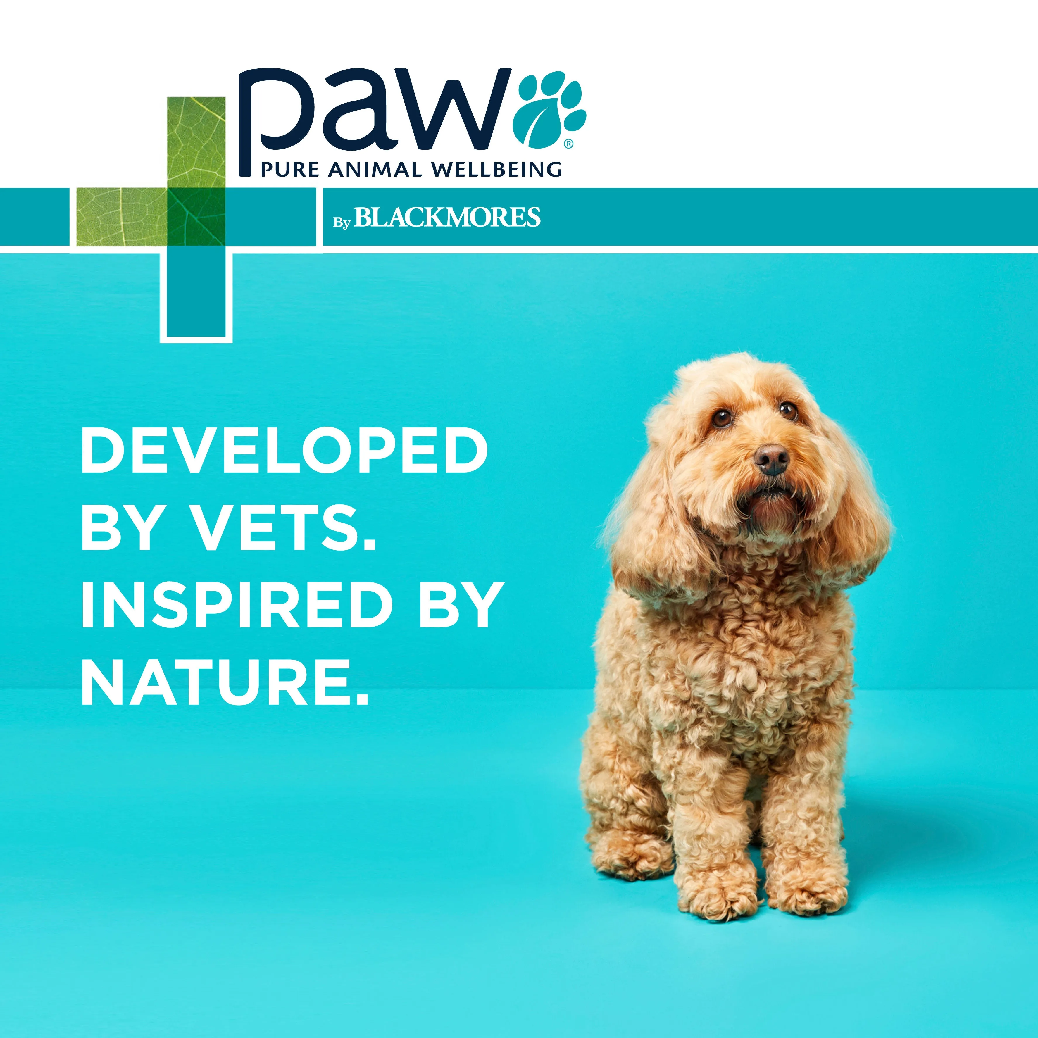 PAW Gentle Ear Cleaner 120ml